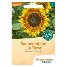 bingenheimer saatgut Sonnenblume 'La Torre' (Helianthus annuus) Samen B275N