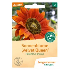 bingenheimer saatgut Sonnenblume 'Velvet Queen' (Helianthus annuus) Samen B277N