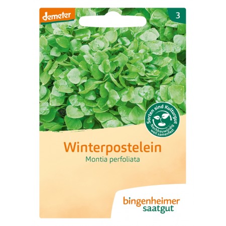 bingenheimer saatgut Winterpostelein (Montia perfoliata) Samen G435N