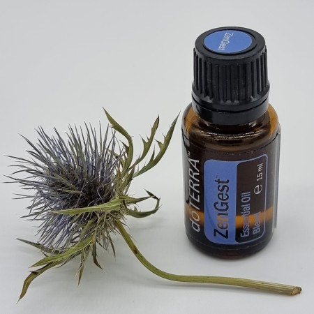 doTERRA ZenGest™ 15ml - Unterstützende Mischung - MHD/EXP 11.2028